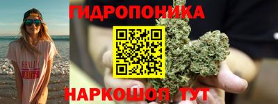 амф Славгород