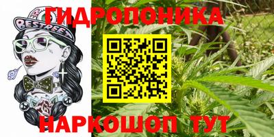 амф Славгород