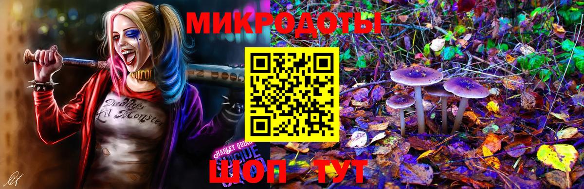 Псилоцибиновые грибы Magic Shrooms Реутов