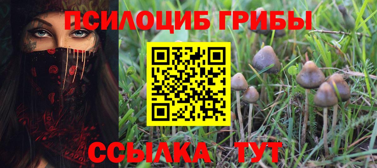 Псилоцибиновые грибы мухоморы  Вход с VPN  Реутов  Галлюциногенные грибы Psilocybe 